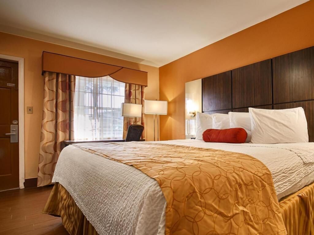Hypo-allergenic bedding, desk, laptop workspace, iron/ironing board