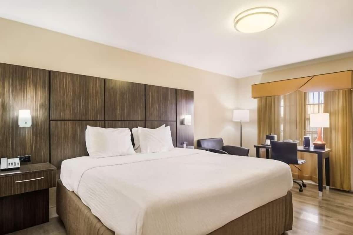 Hypo-allergenic bedding, desk, laptop workspace, iron/ironing board