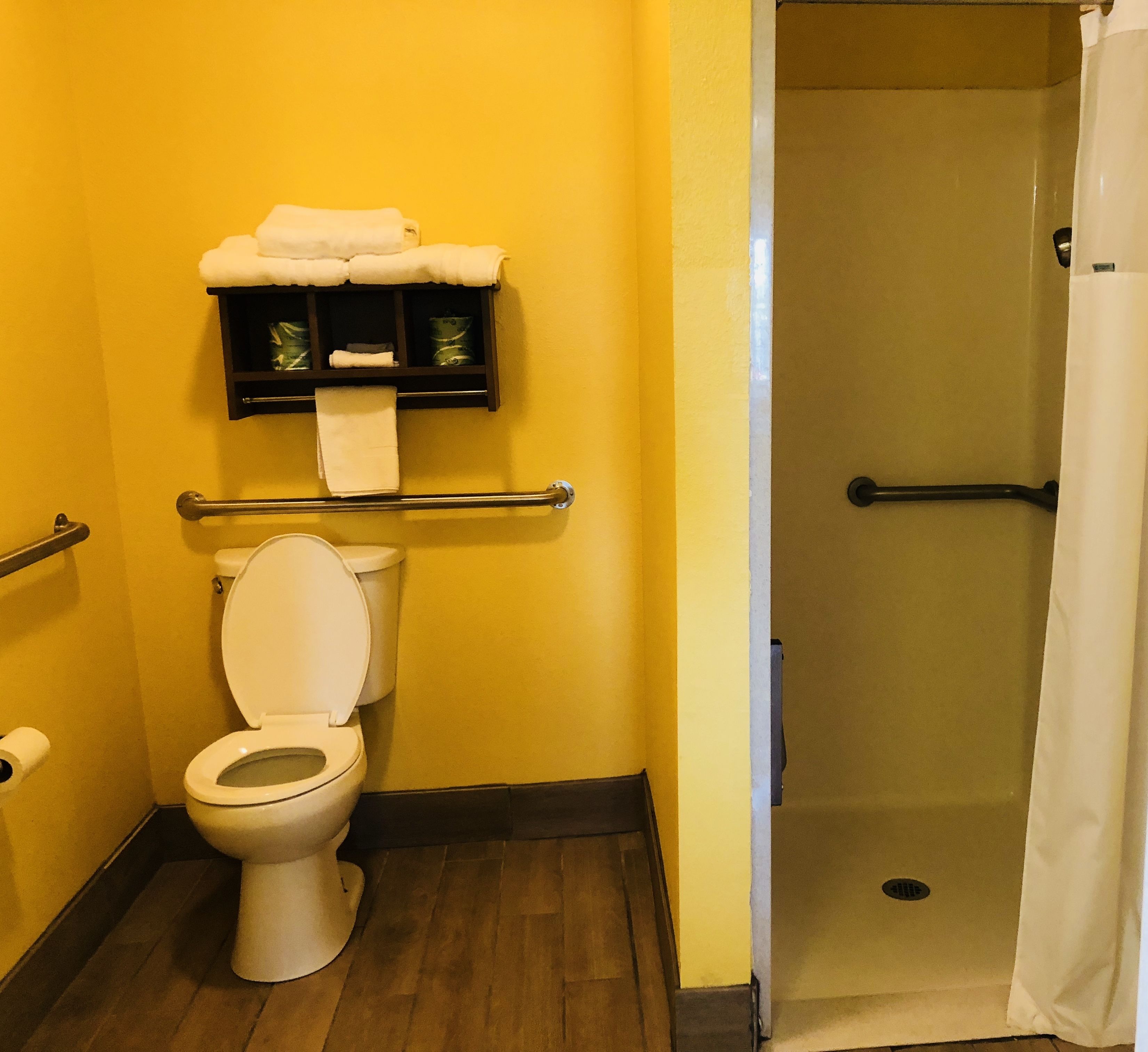 Ein Badezimmer mit Toilette, Haltegriff und Duschbereich.