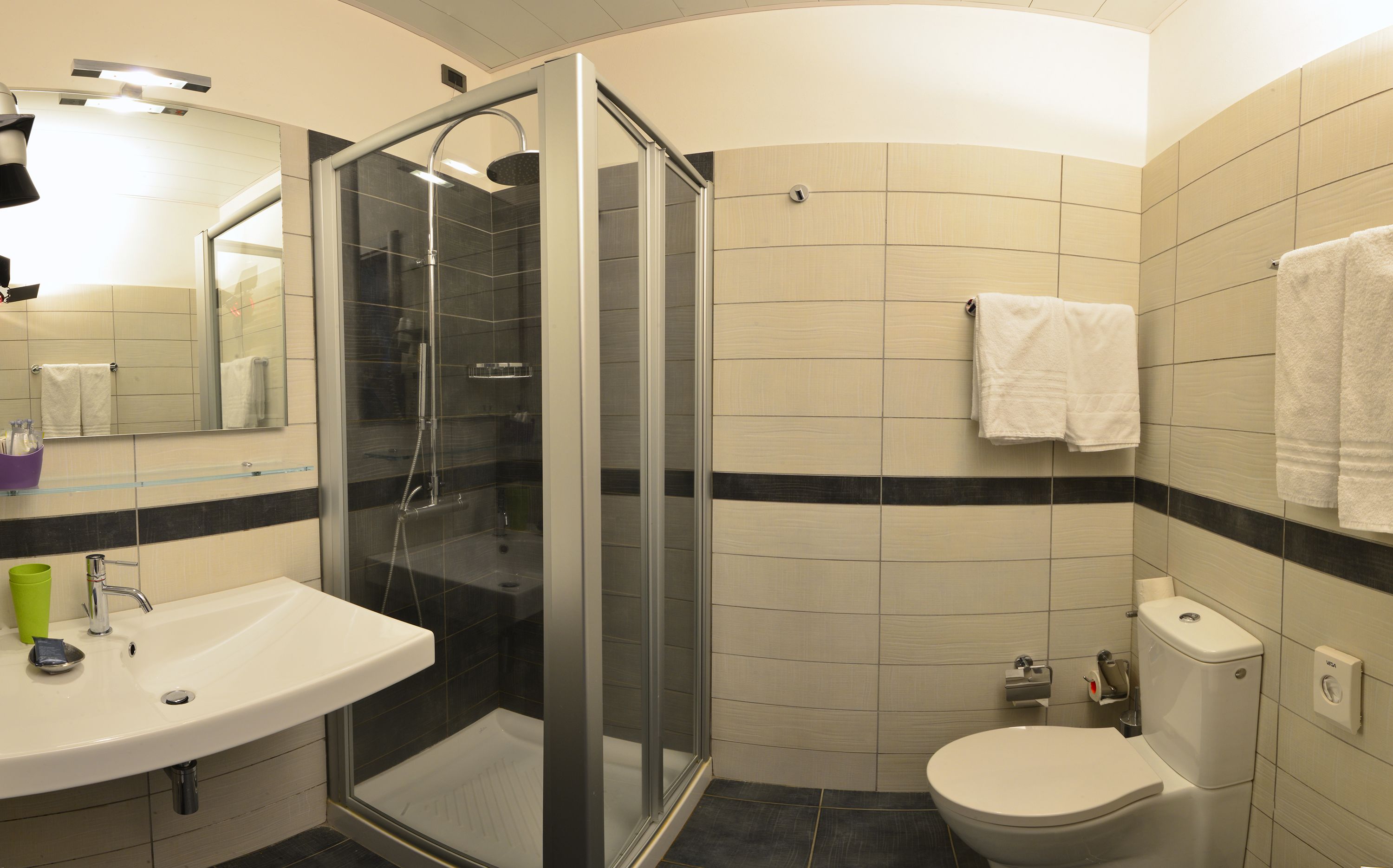 A modern bathroom with a glass-enclosed shower, a sink, a toilet, and a mirror.