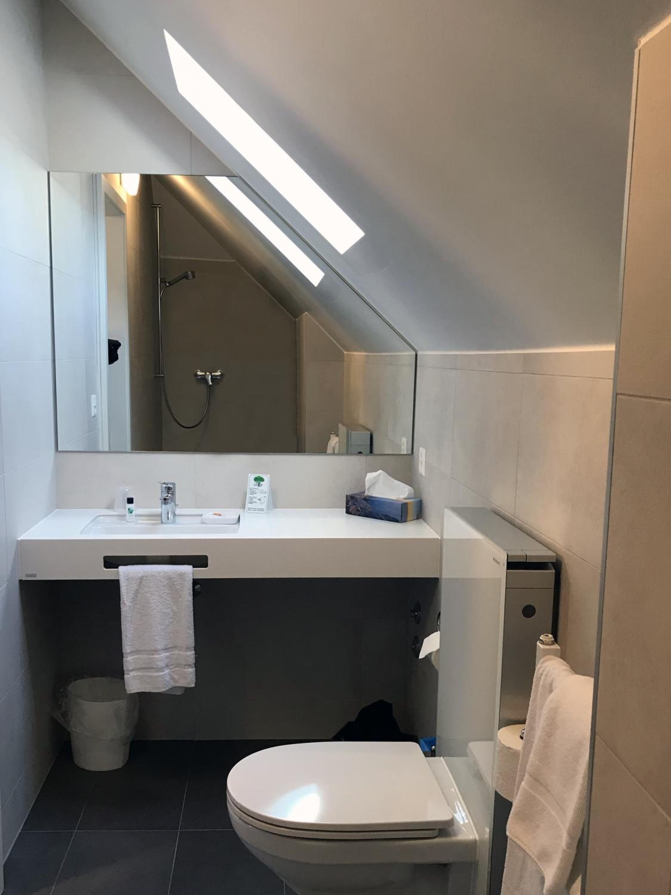 A modern bathroom with a shower, toilet, and sink.