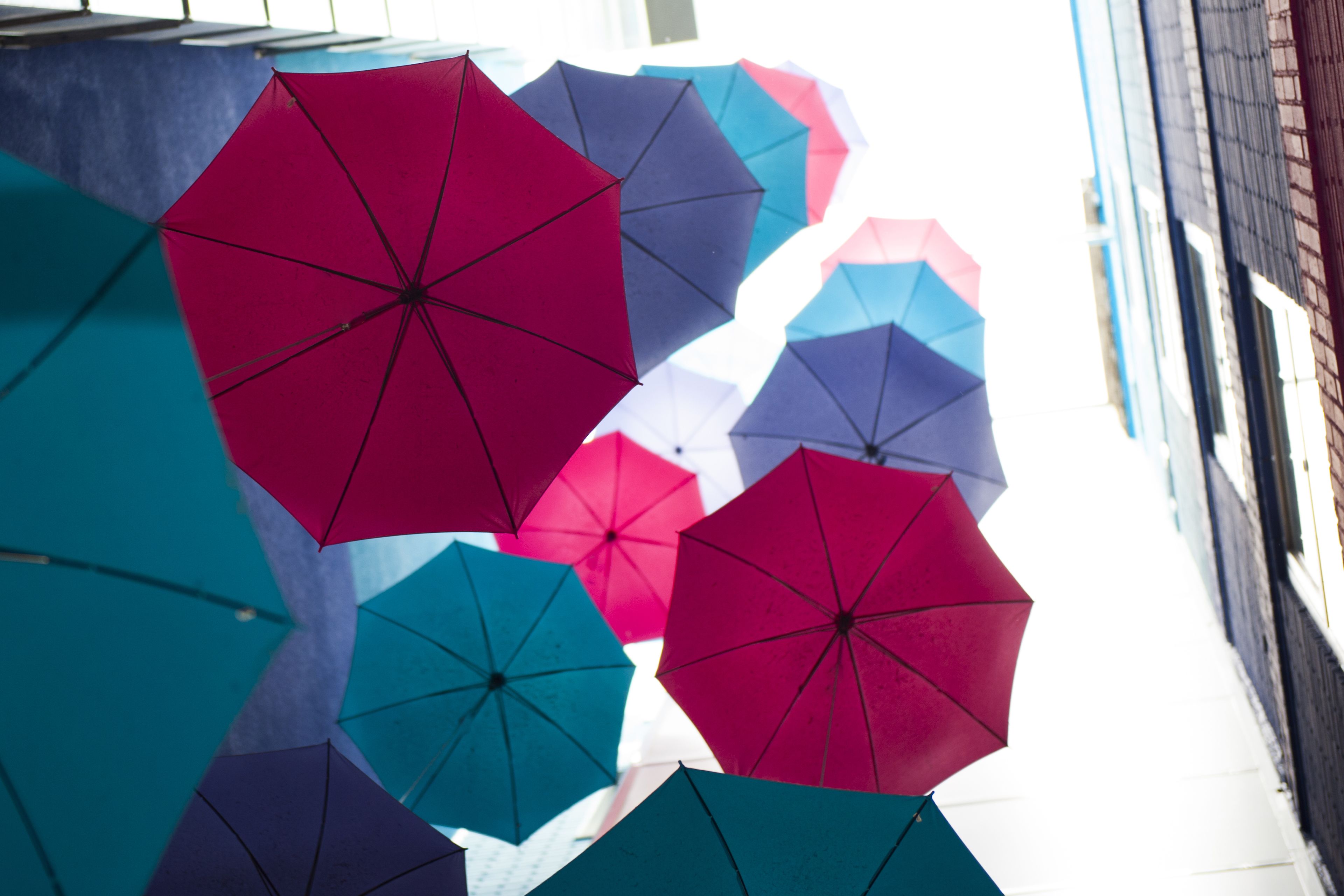 Photo - Apartosuites Jardines de Sabatini