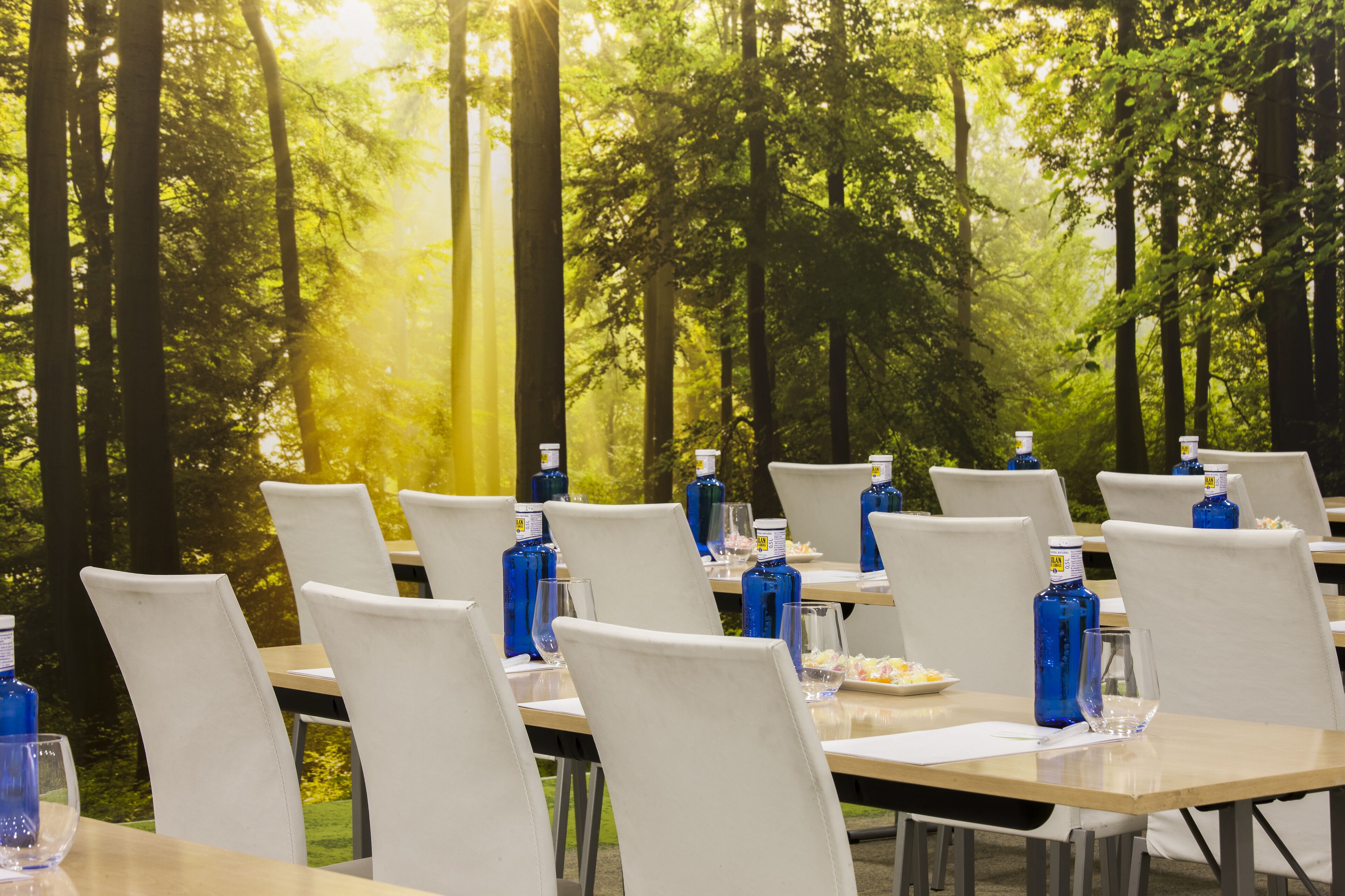 A dining area with tables set for guests, surrounded by tall trees and sunlight filtering through.