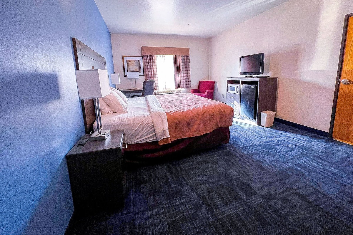 Quarto de hotel com cama, escrivaninha, televisão e lixeira.