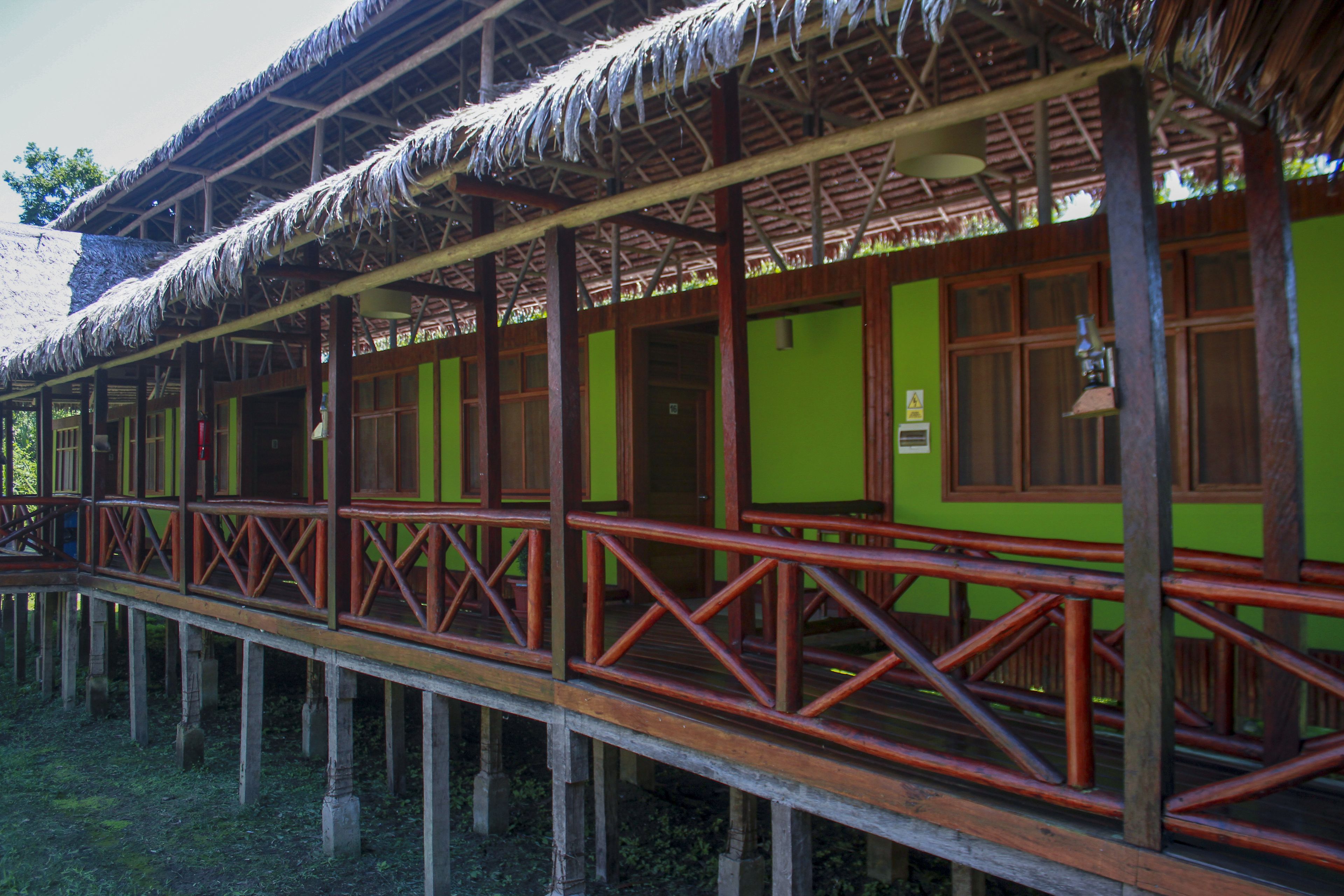 Una estructura de madera con techo de paja y pared verde, que presenta una terraza de madera con barandillas.