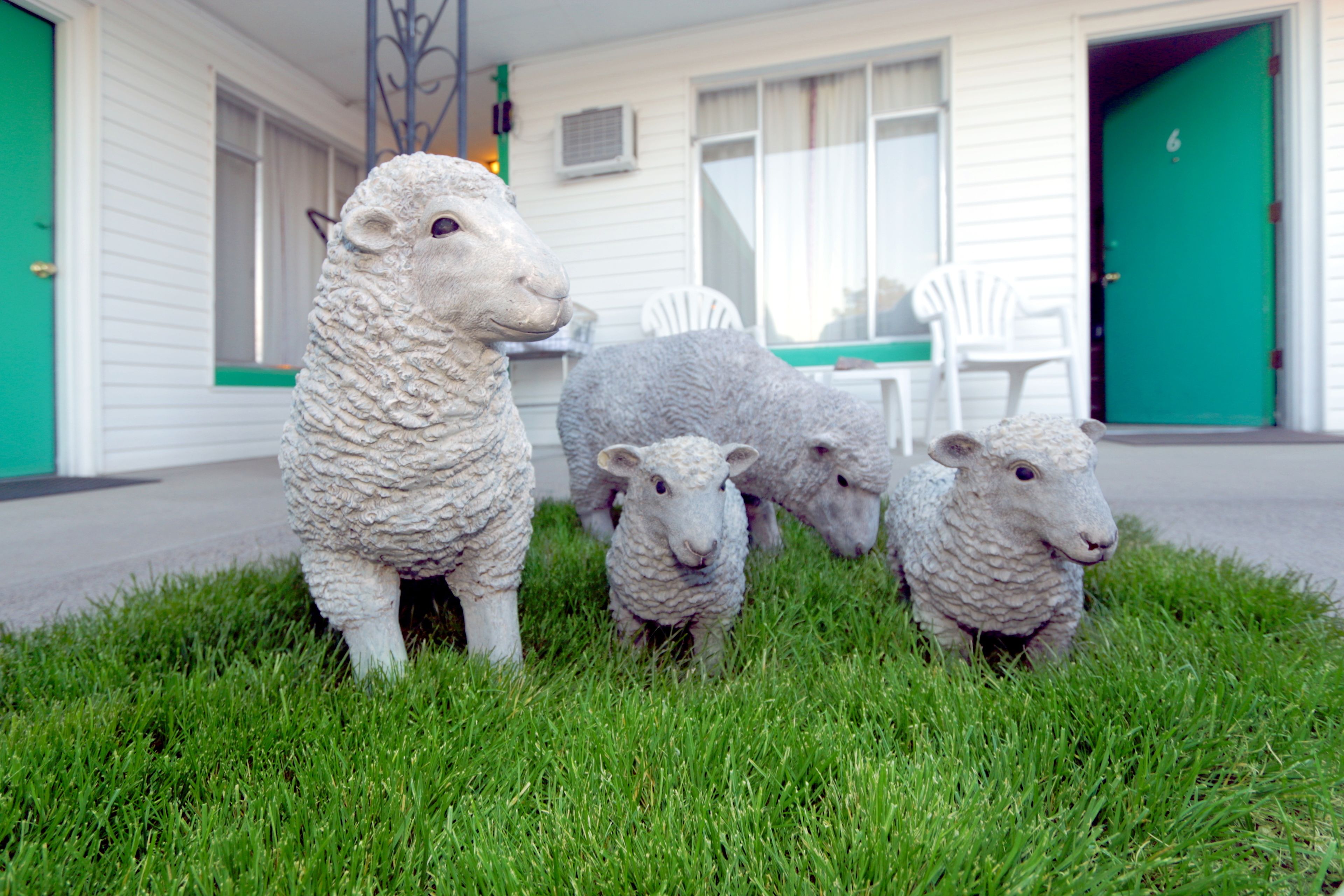 المنشأة من الخارج