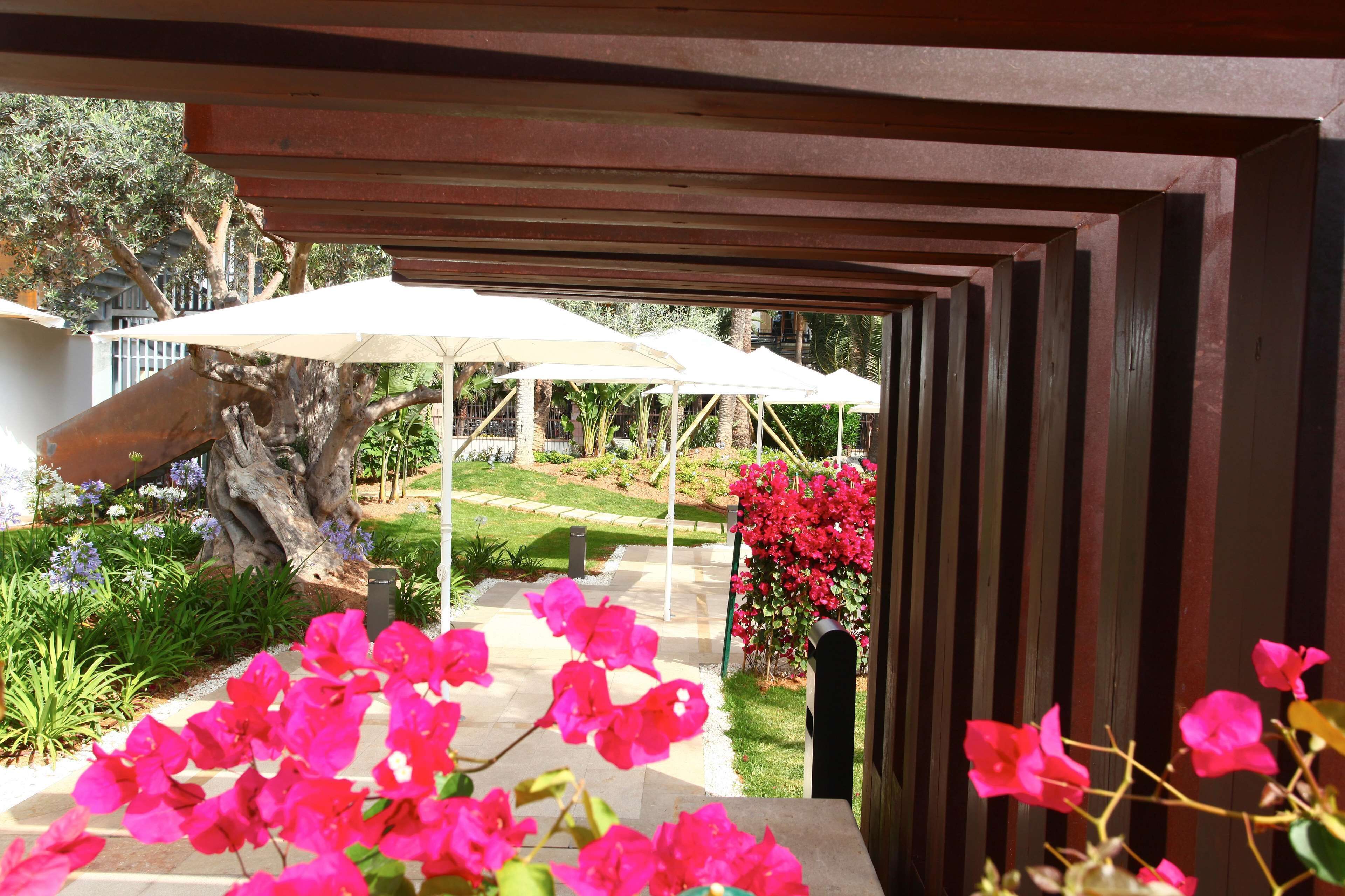 A covered outdoor area with a pathway, a tree, and a flower bed with pink flowers.