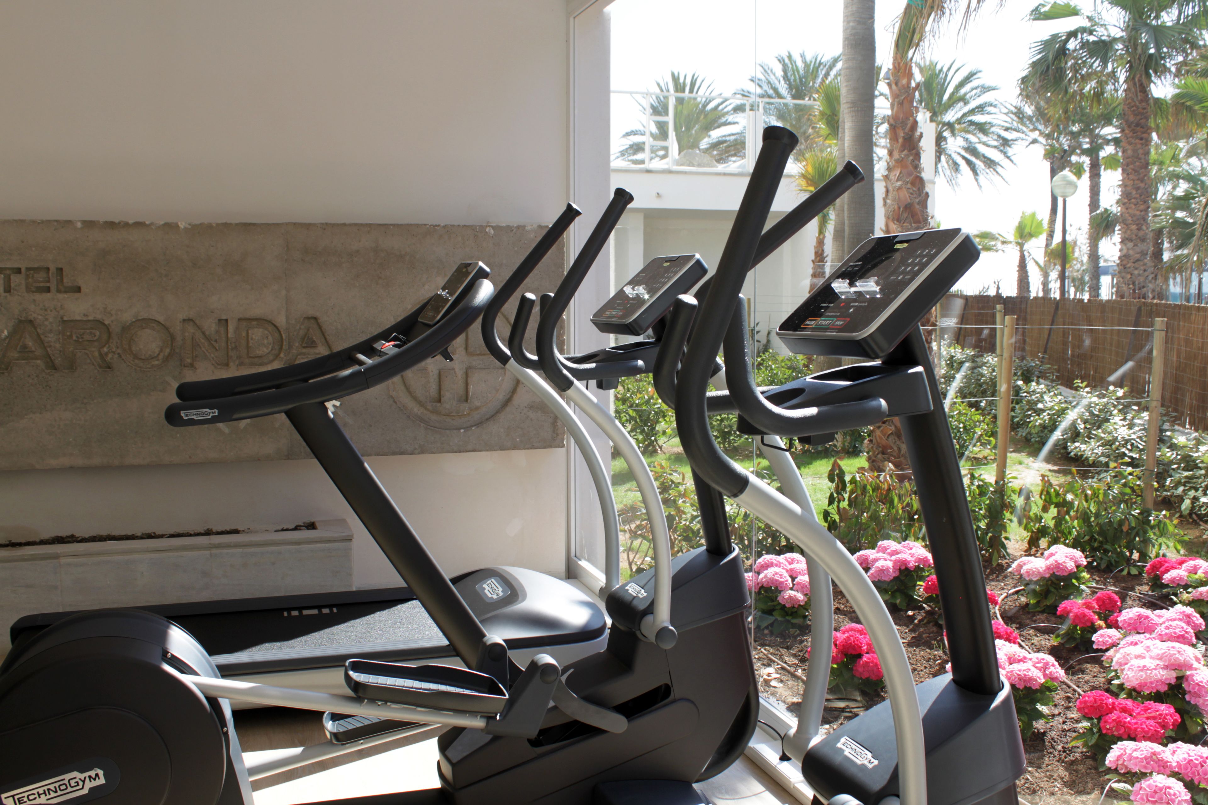 A treadmill with a digital display, positioned in a room with a concrete wall and a window overlooking a garden with pink flowers.