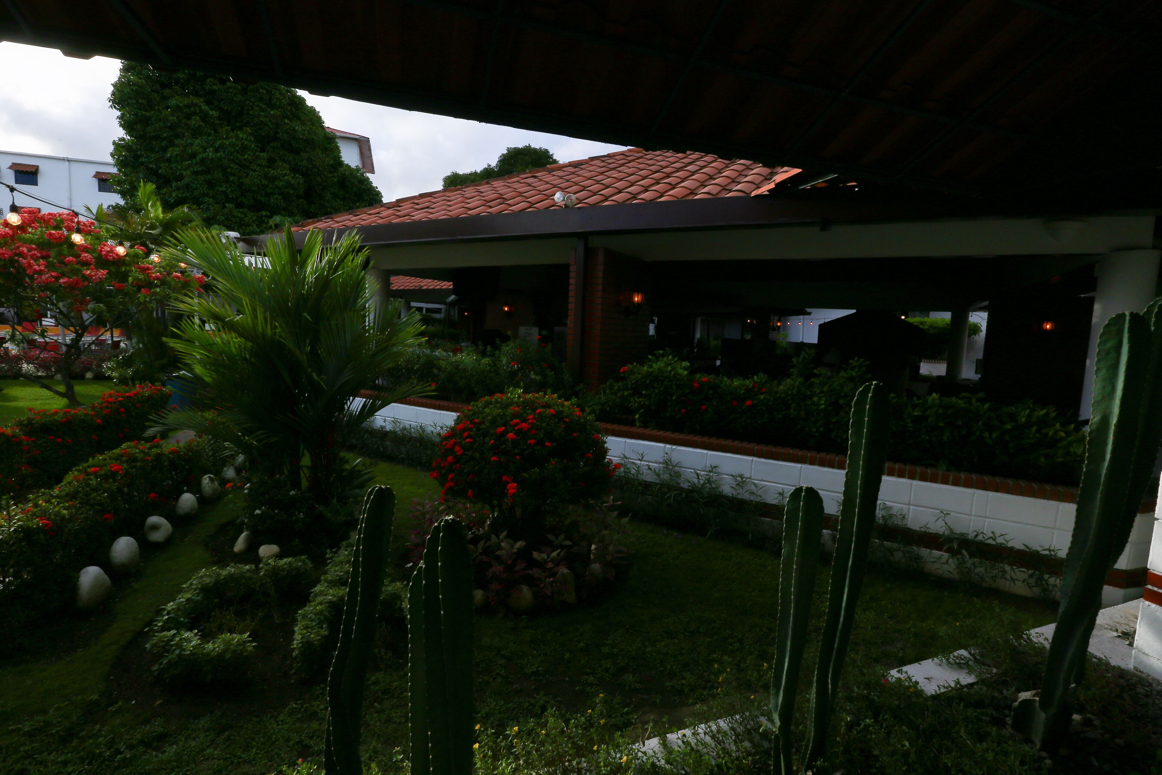 A garden with cacti, red flowers, and a building with a tiled roof.