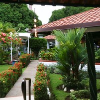 Vista desde la habitación