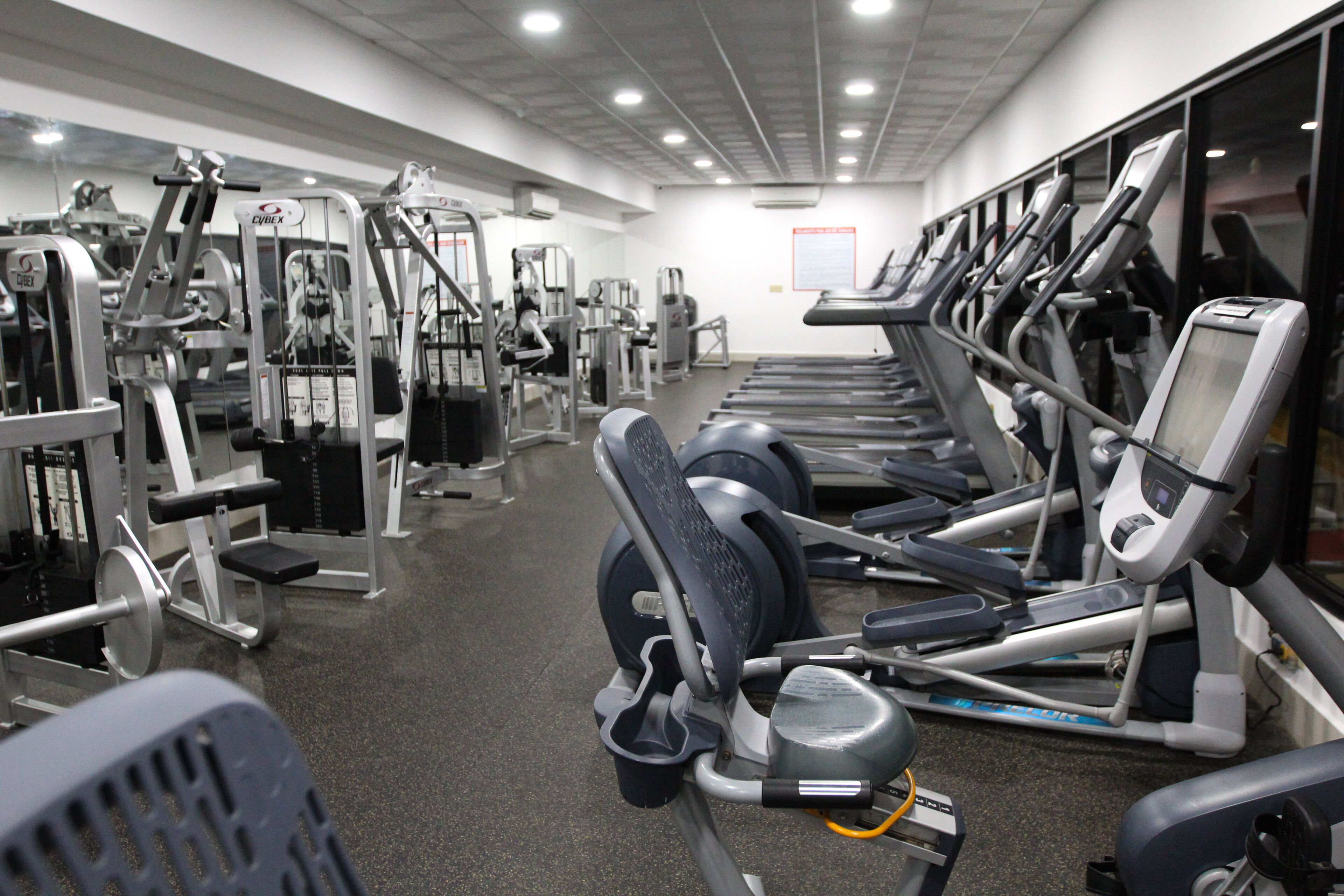 Ein Fitnessstudio mit verschiedenen Trainingsgeräten, darunter Laufbänder und Kraftgeräte, die in Reihen angeordnet sind.