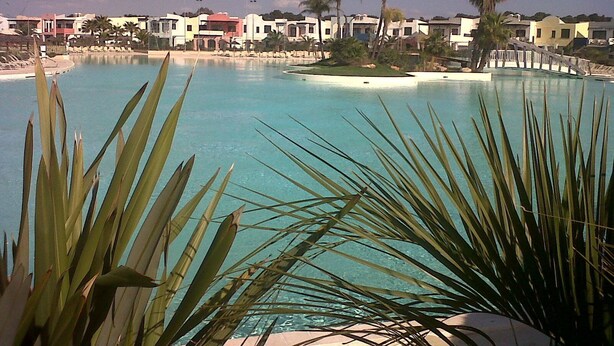 Una piscina azul cristalina rodeada de edificios, con una palmera en primer plano.