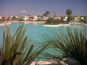A clear blue pool surrounded by buildings with a palm tree in the foreground.