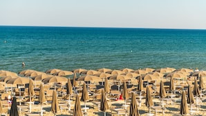 Una playa con hileras de sombrillas y sillas de descanso.