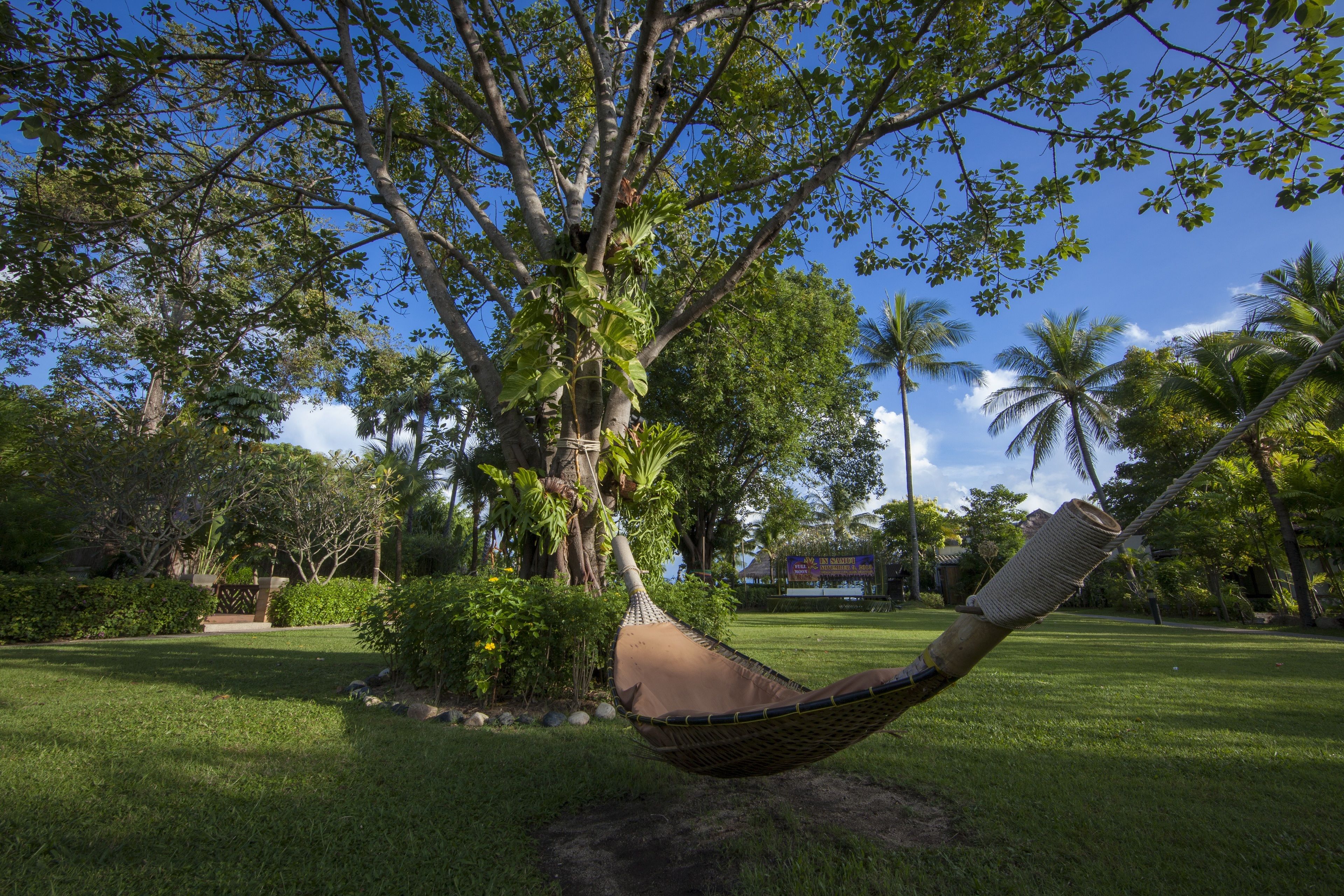 A hammock chair in a lush garden with trees and a clear sky.