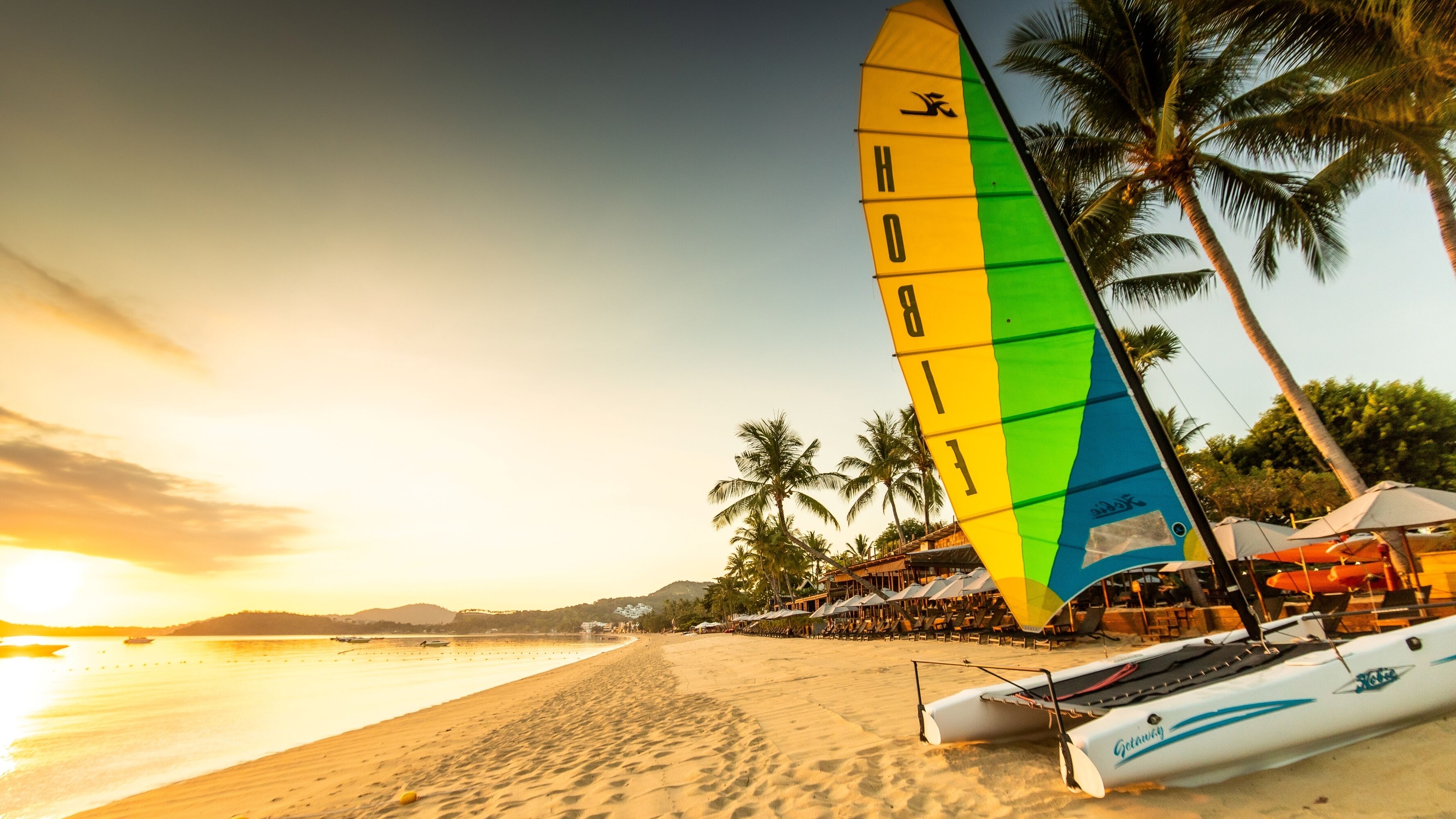 Una playa con un velero, palmeras y un atardecer.