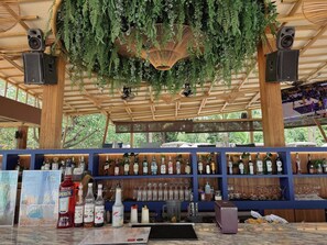 A bar area with hanging plants, shelves of liquor bottles, and a television screen.