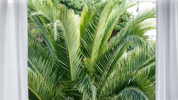 A close-up of a palm plant with long, green leaves.