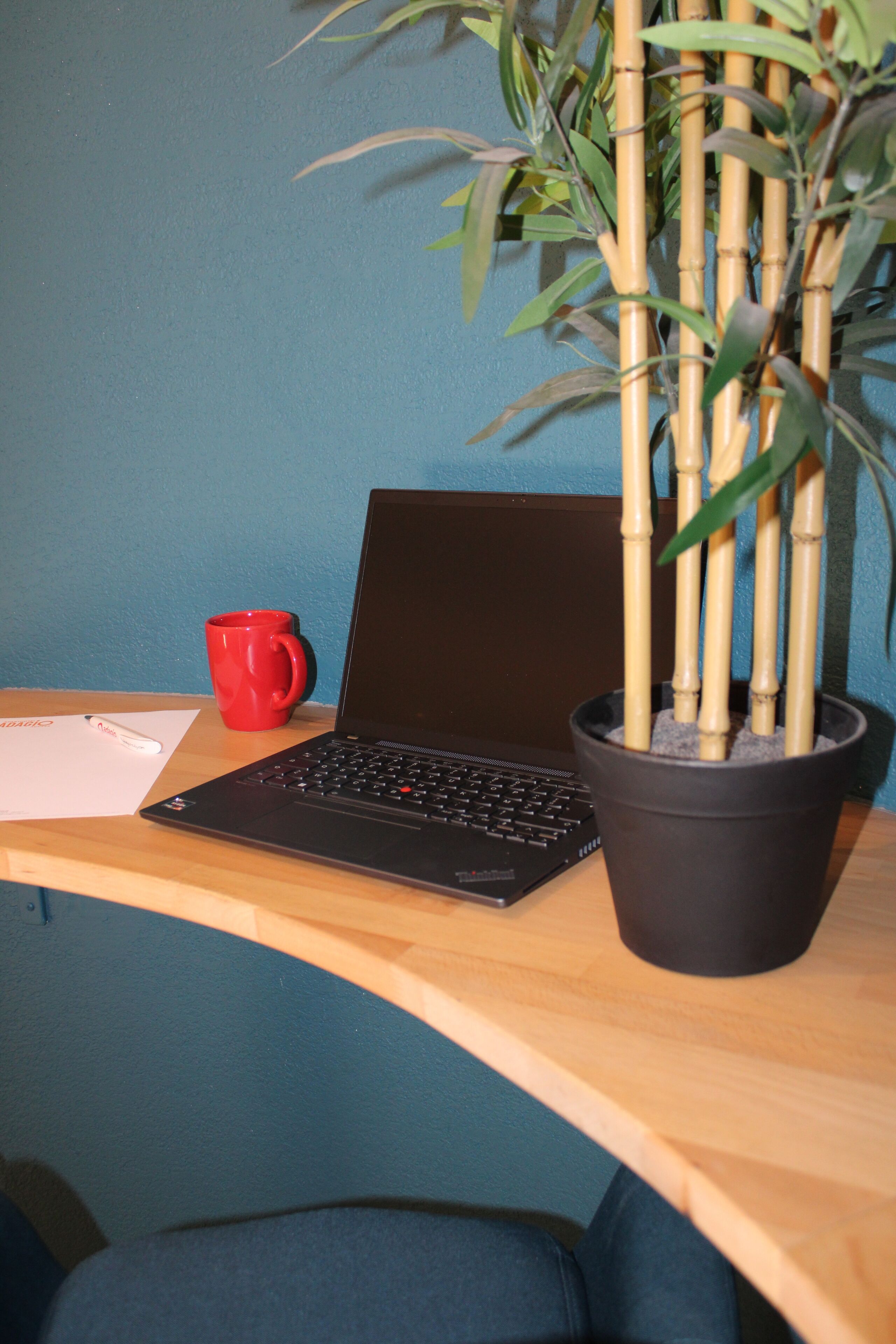 Een laptop op een bureau, met een rode mok en een potbamboe.