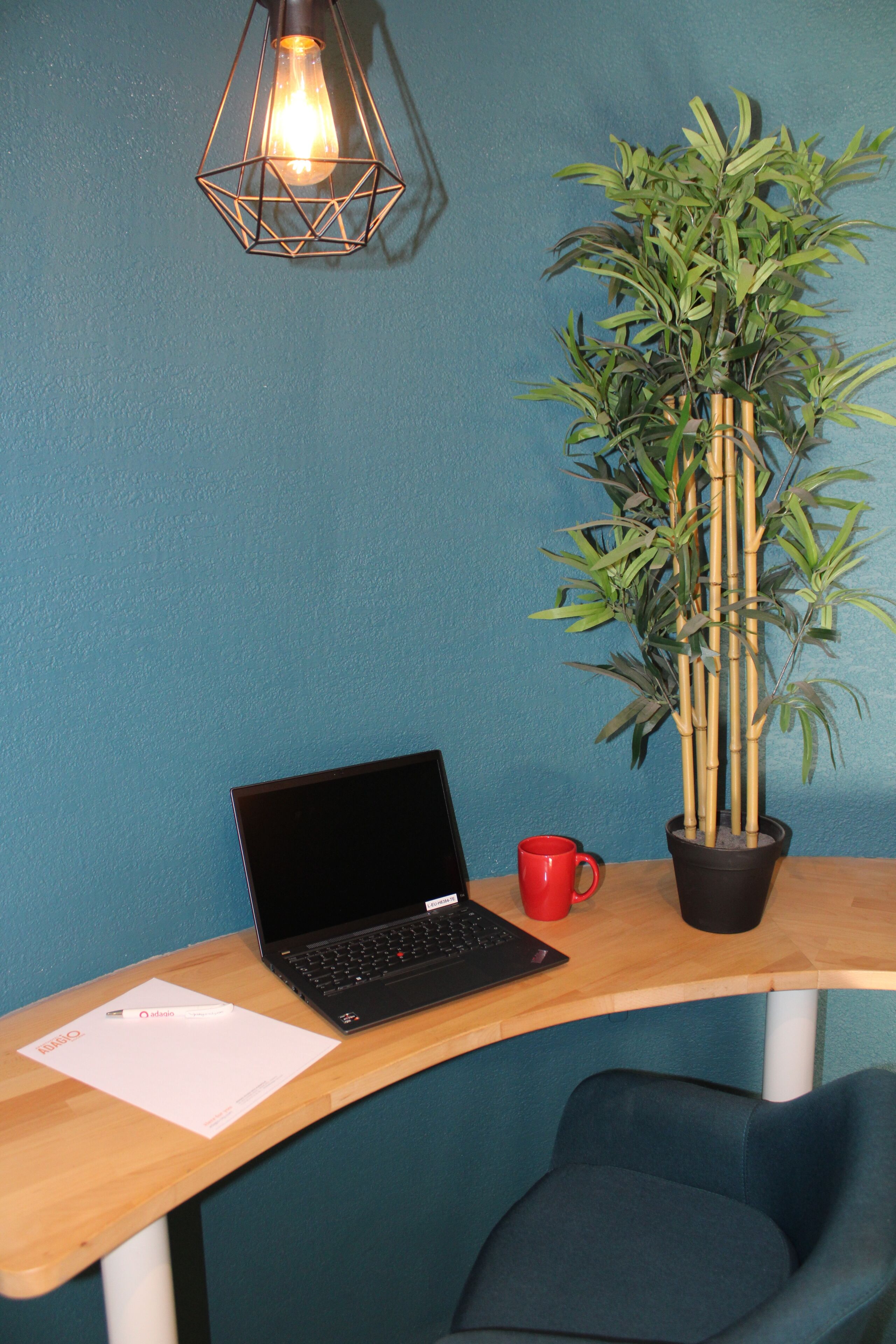 Un espacio de trabajo con una computadora portátil, una taza roja, una planta de bambú y un colgador de luz.