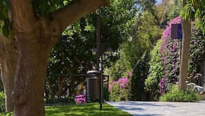 A paved pathway in a garden with a tree, flowers, and a lamp post.
