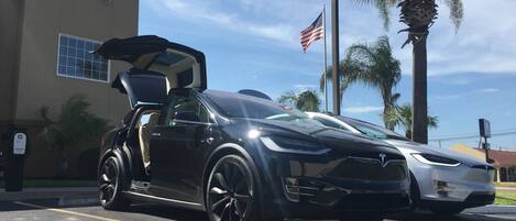 Servizio della struttura