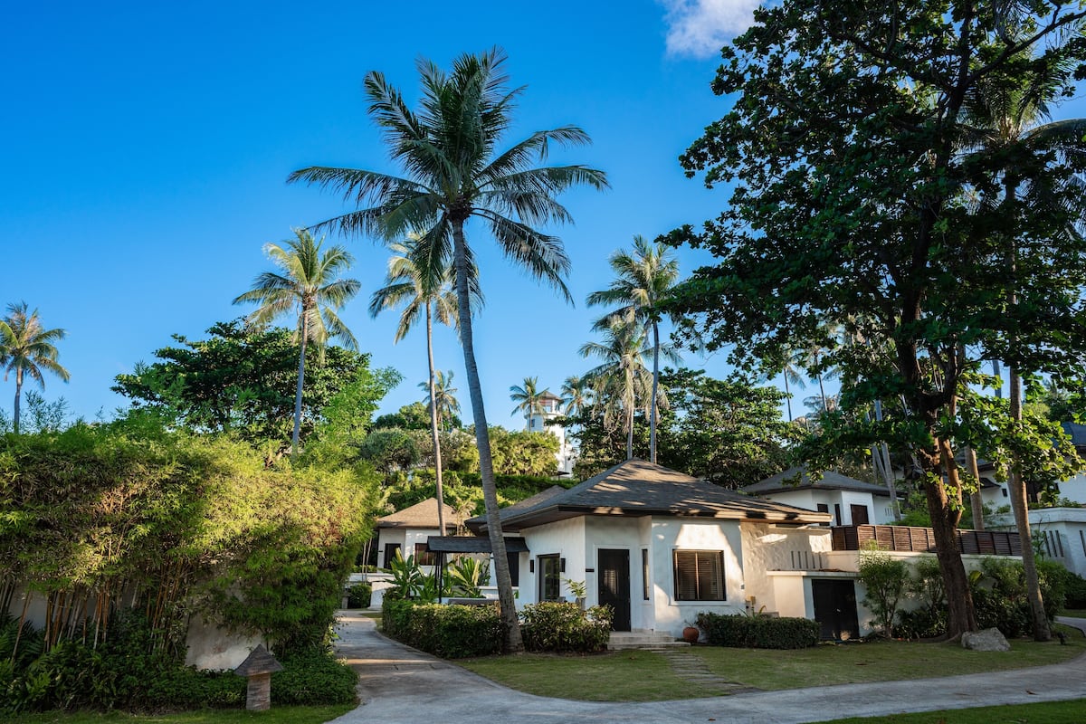 A residential area with houses surrounded by lush greenery and palm trees.