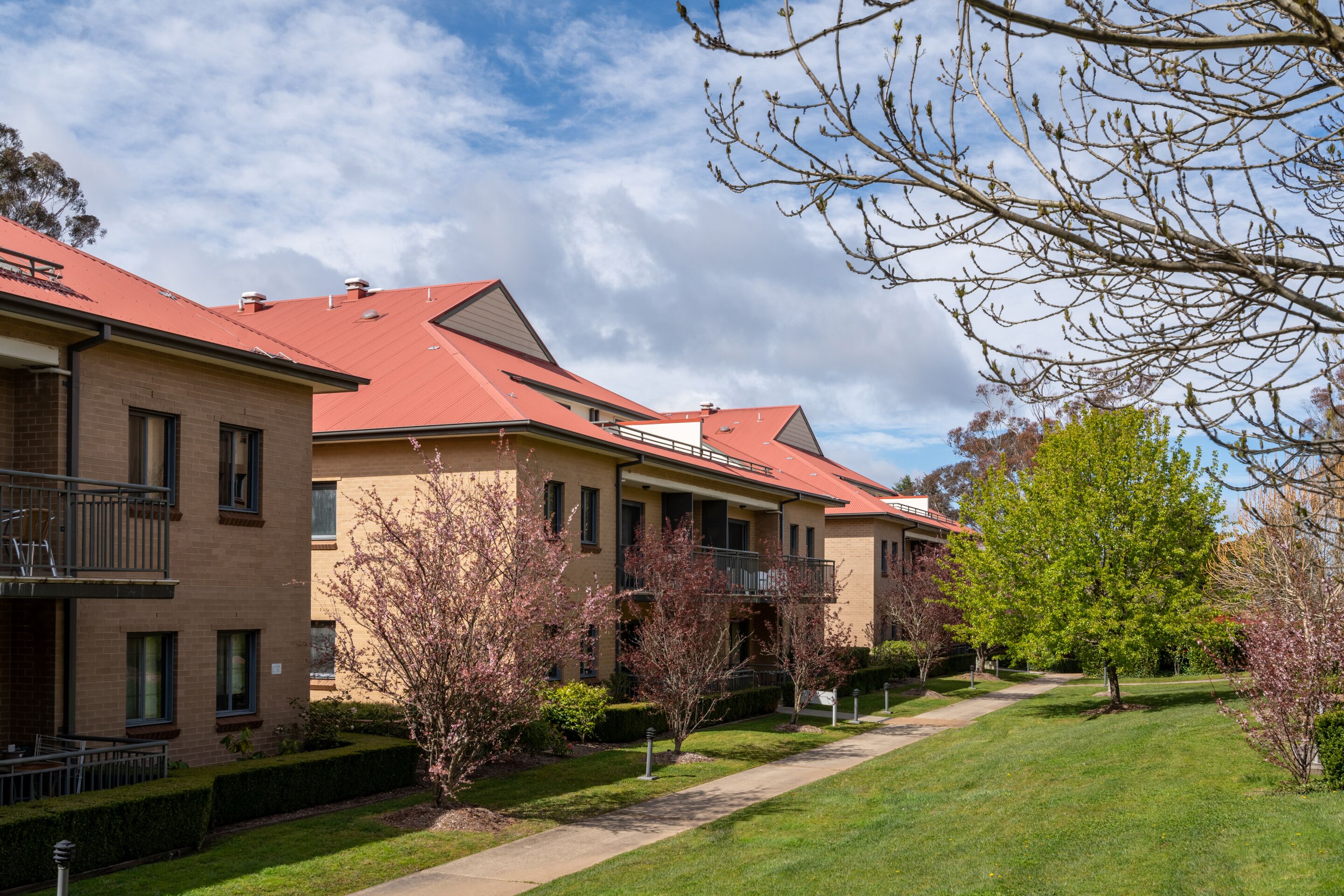 A row of brick apartment buildings with red roofs, a green lawn, and blooming trees.