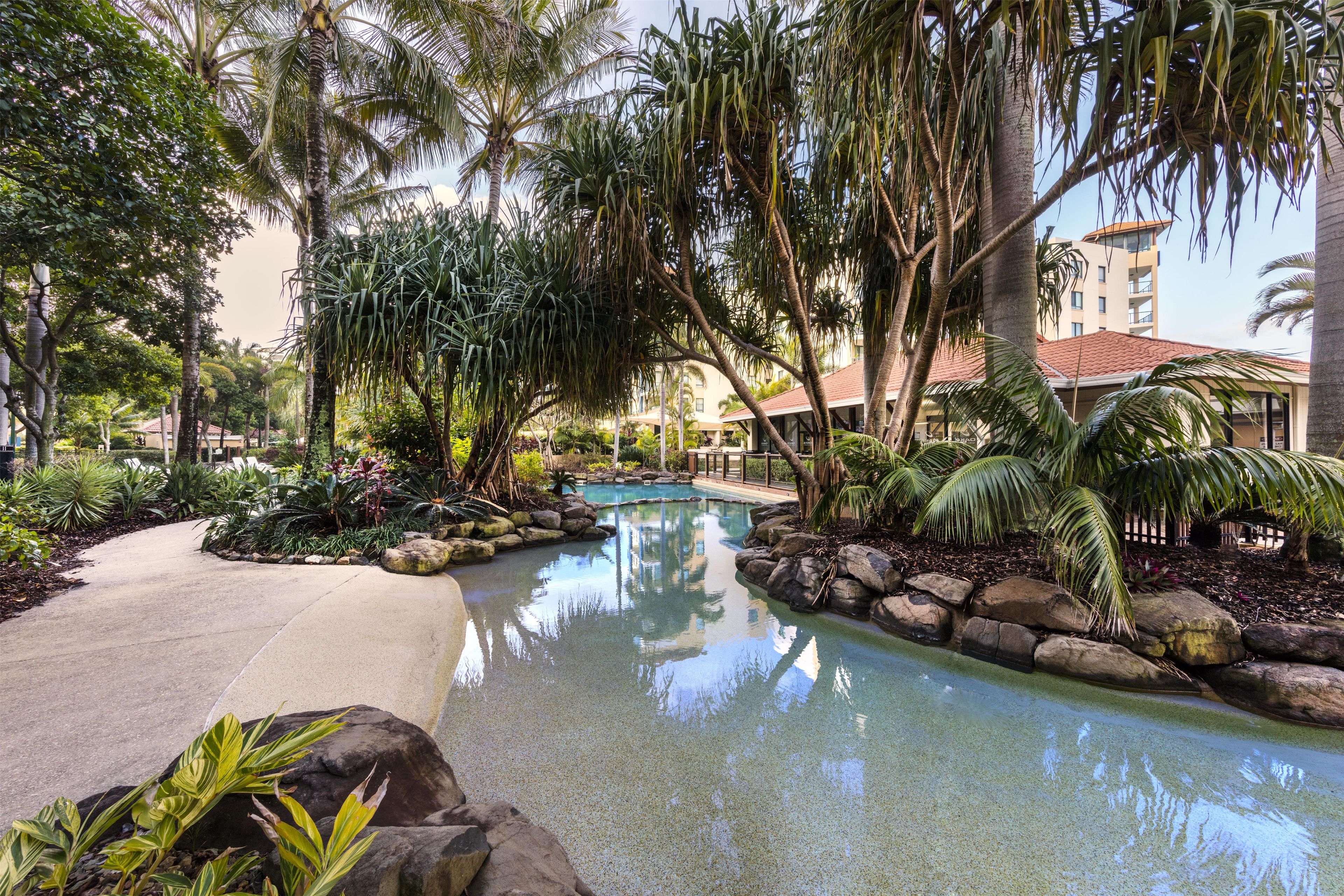 Zona de piscina con plantas tropicales y superficie de agua cristalina.