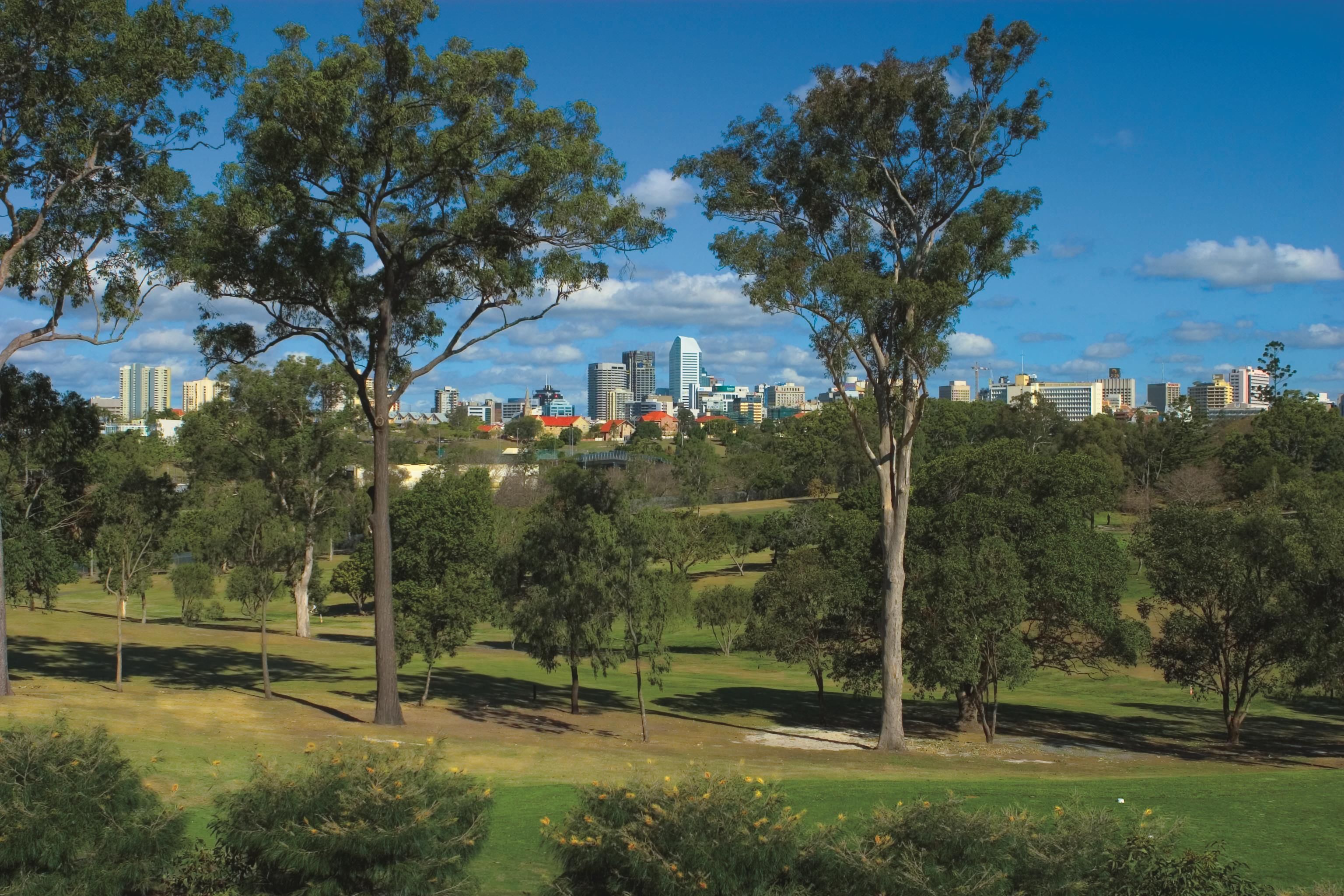 A park with trees and a city skyline in the background.
