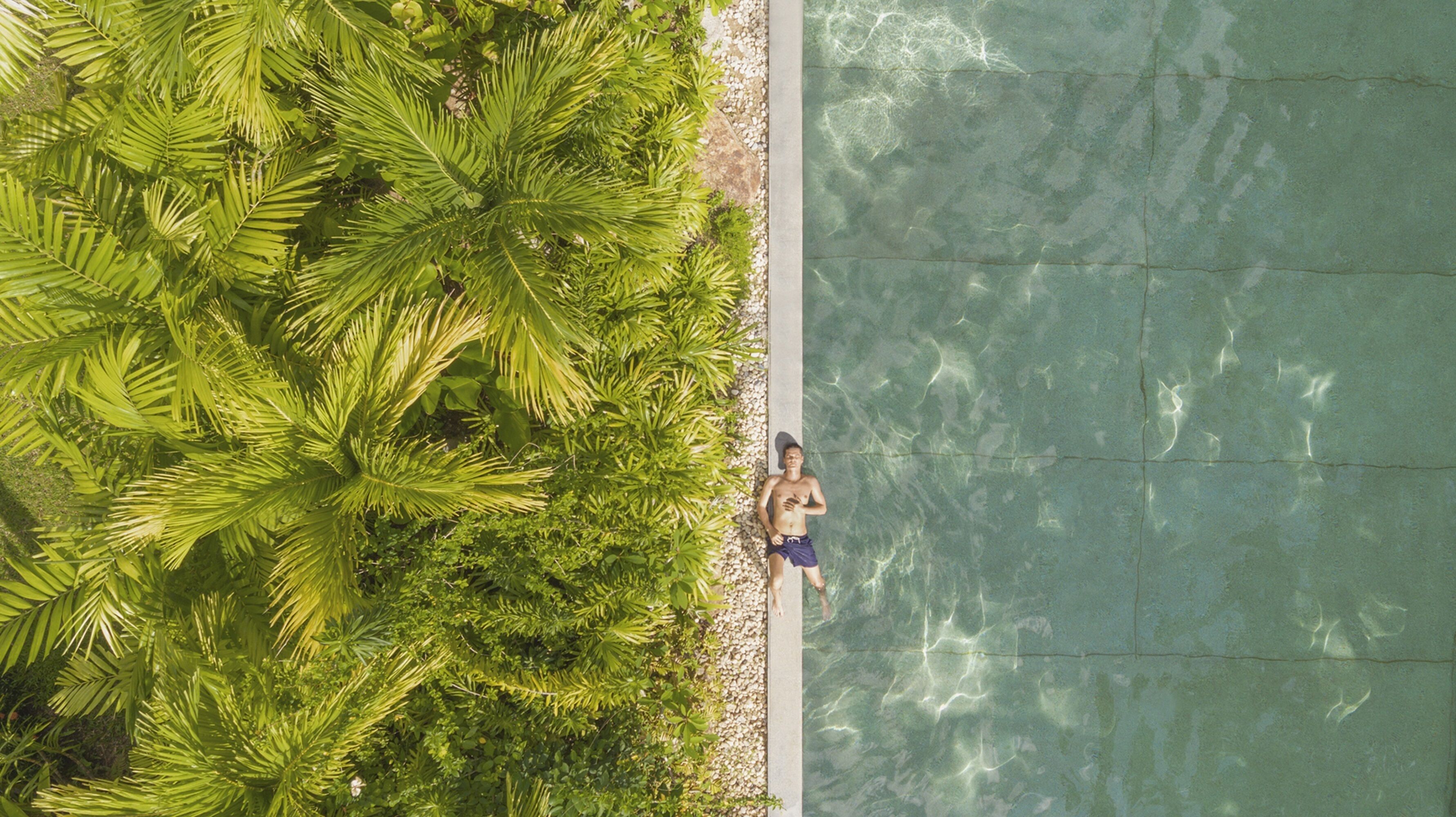 Ein Schwimmbecken mit klarem Wasser, umgeben von üppigem Grün.