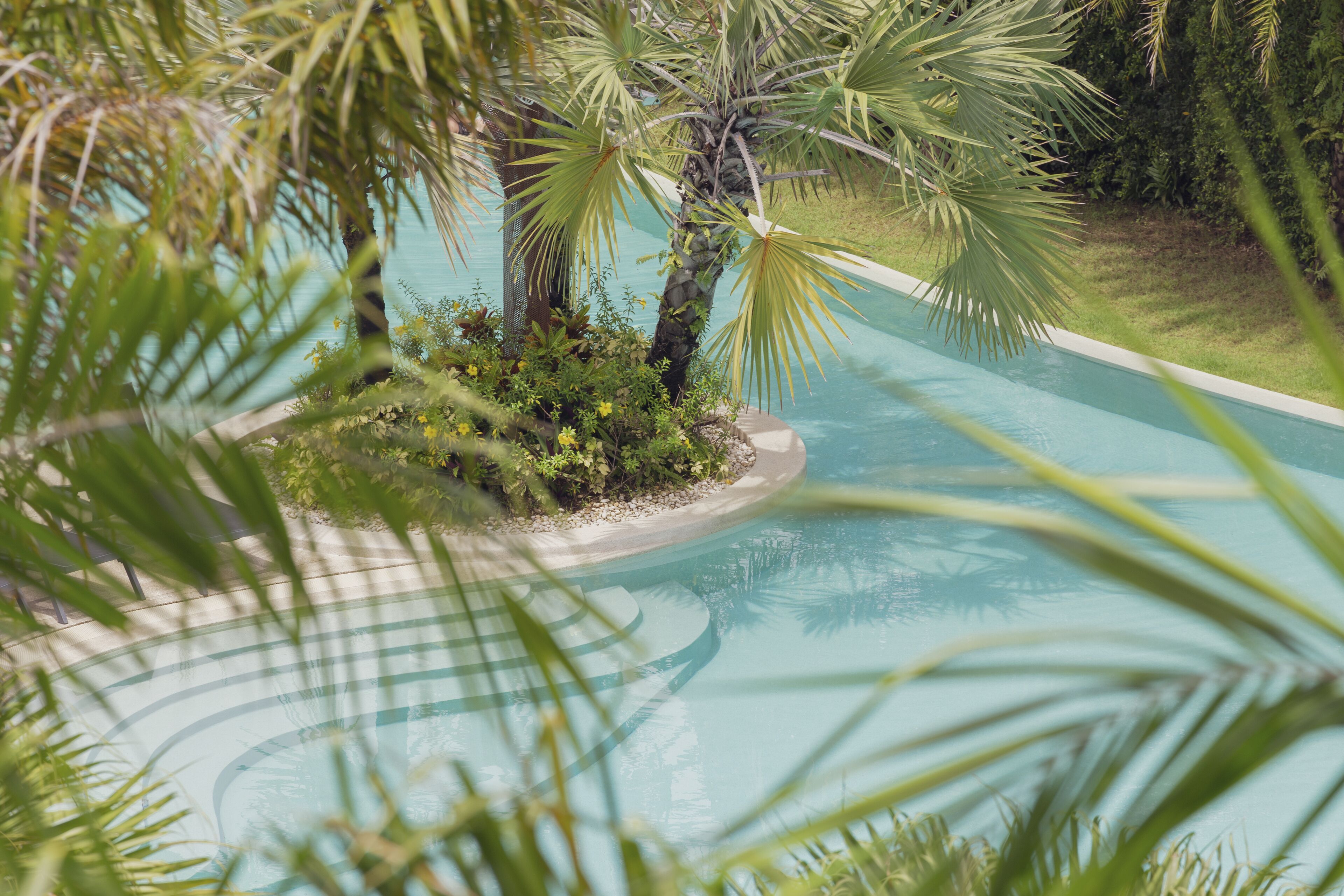 Zona de piscina con palmeras y césped cuidado.