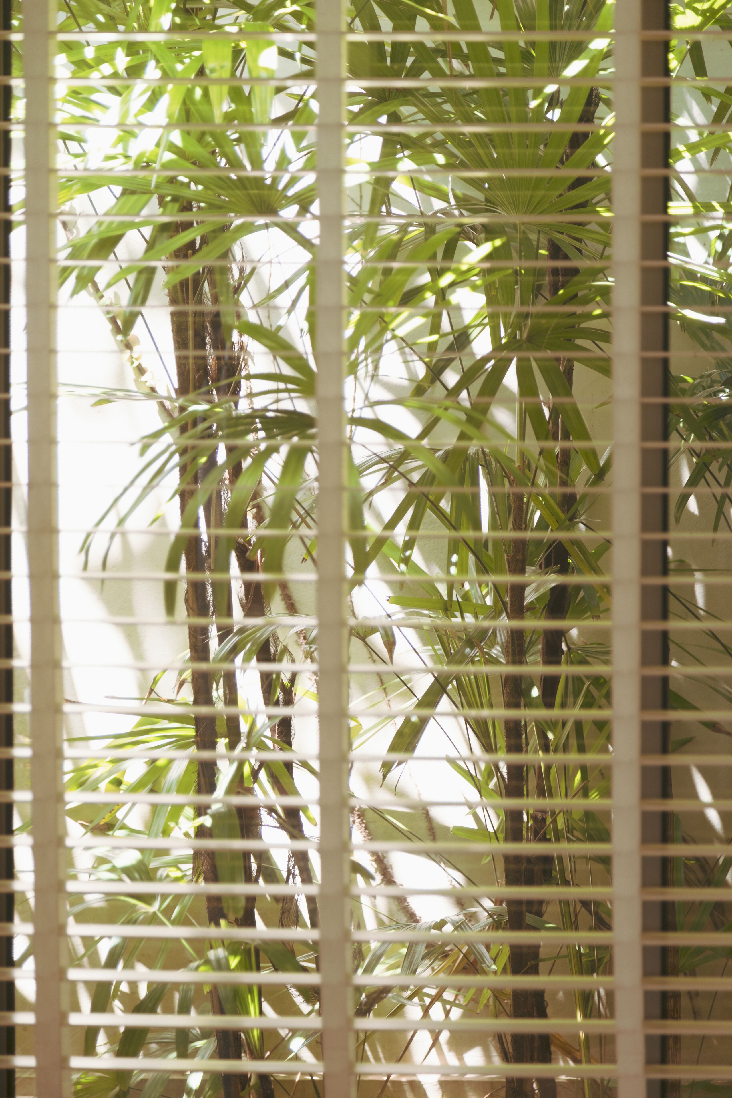 separate bathtub and shower, deep-soaking bathtub, rainfall showerhead