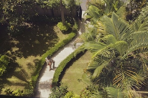 Garden view