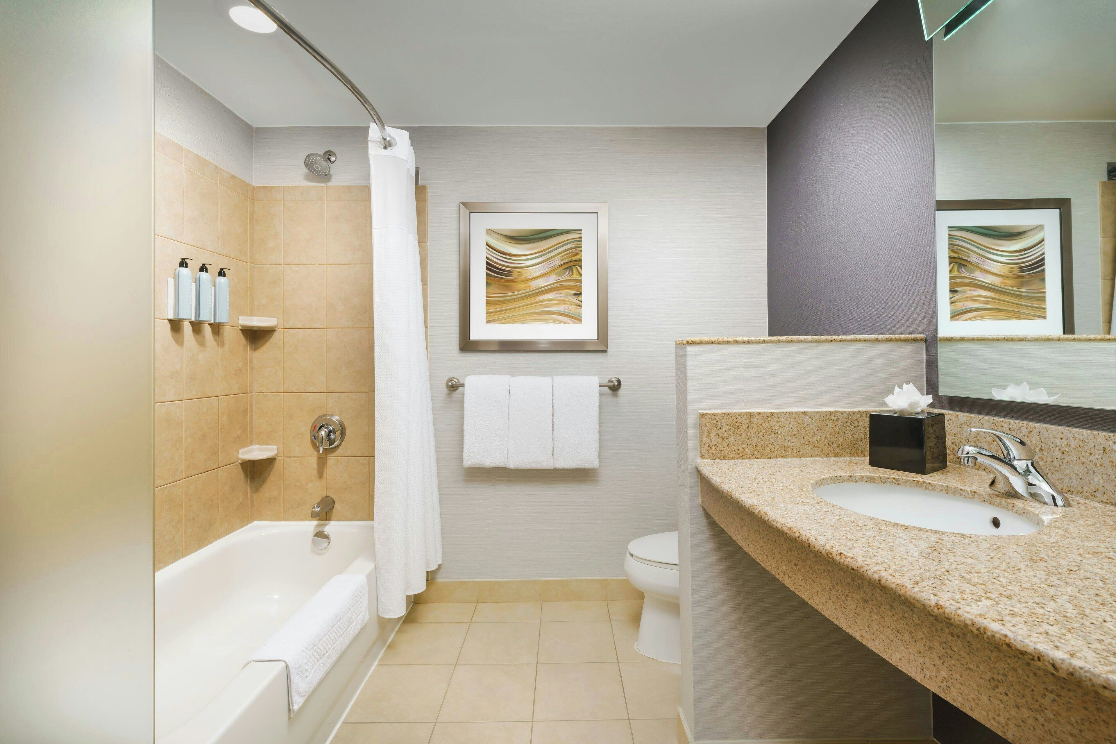 combined shower/bathtub, free toiletries, hair dryer, towels