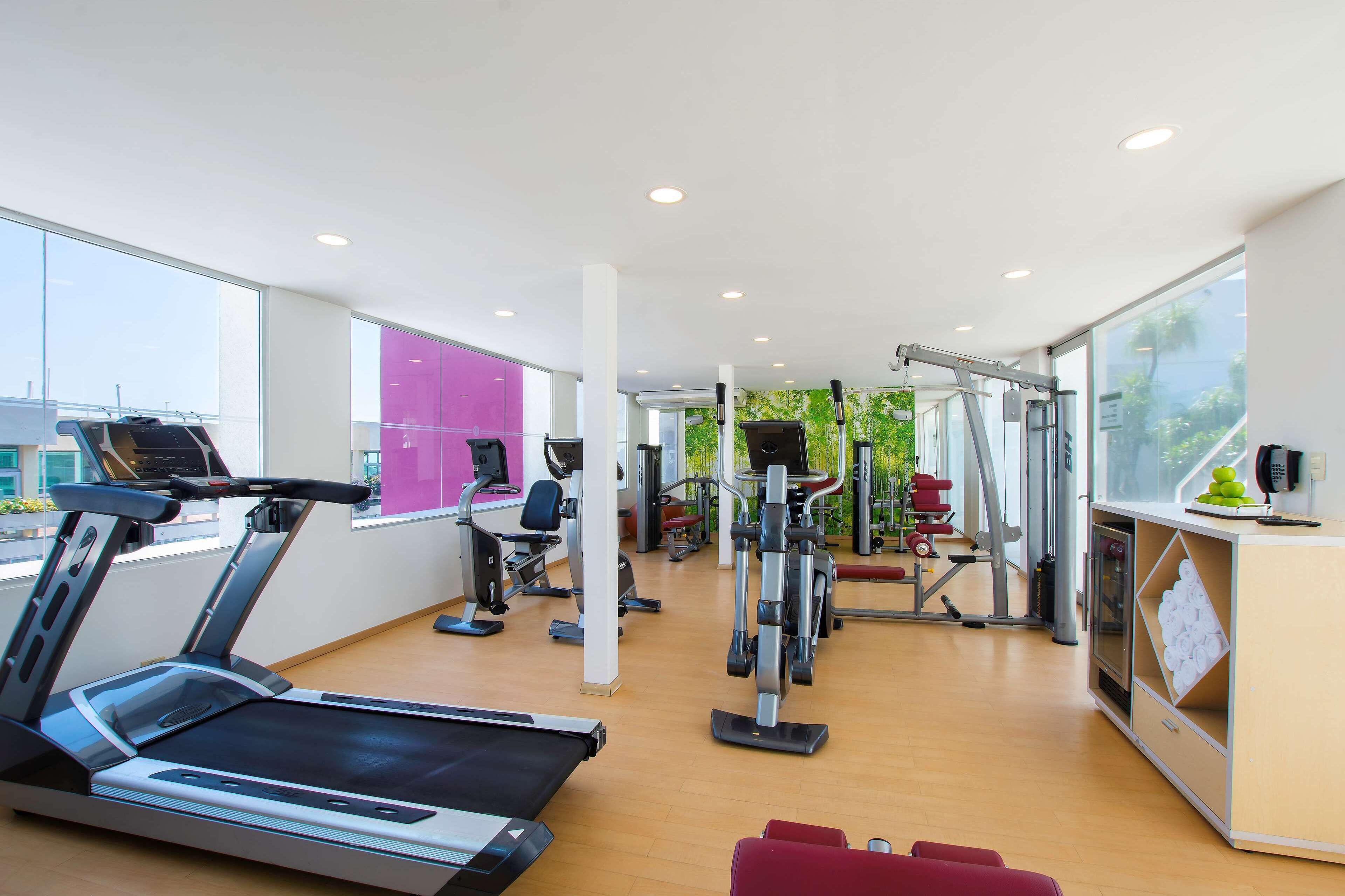 Un gimnasio moderno con cintas de correr, máquinas de pesas y un amplio ventanal con vistas al exterior.