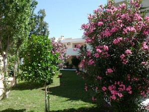 A courtyard with a well-maintained lawn, a variety of flowering shrubs, and a building with a light-colored facade. - Hotel Iris (Rhodes)