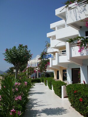 Área da propriedade