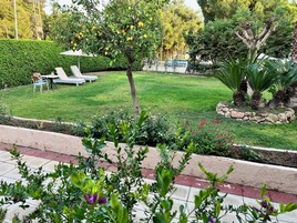 Vista desde la propiedad