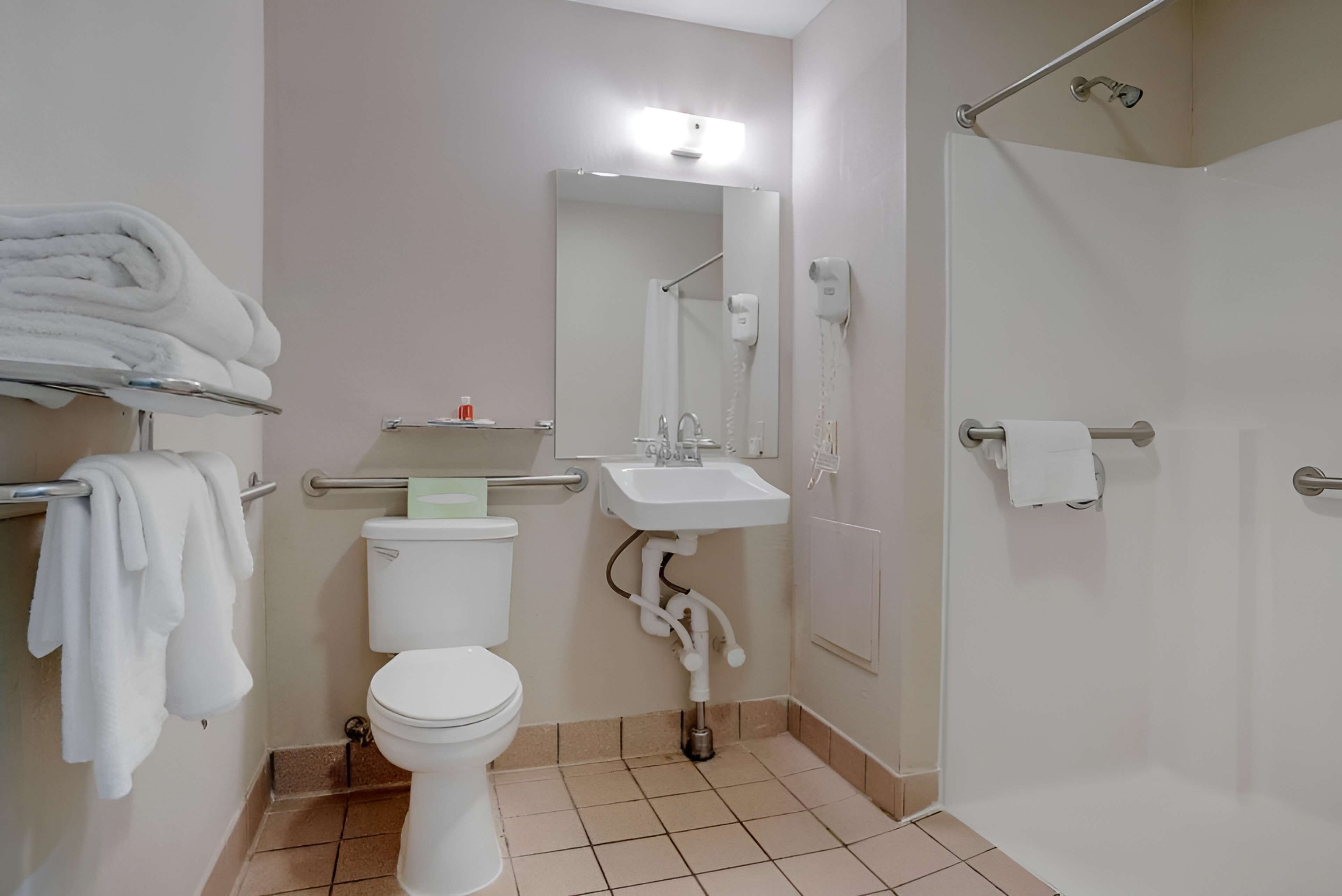 room, 1 king bed, accessible, non smoking | accessible bathroom