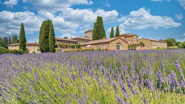 Un edificio grande con varias habitaciones, rodeado por un campo de lavanda.