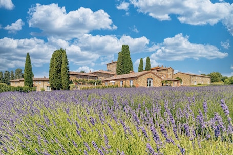 Giardino. Borgo Scopeto Wine & Country Relais