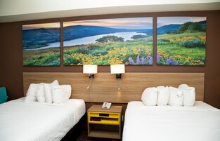 Ropa de cama de alta calidad, cubrecamas y colchones con pillow-top 