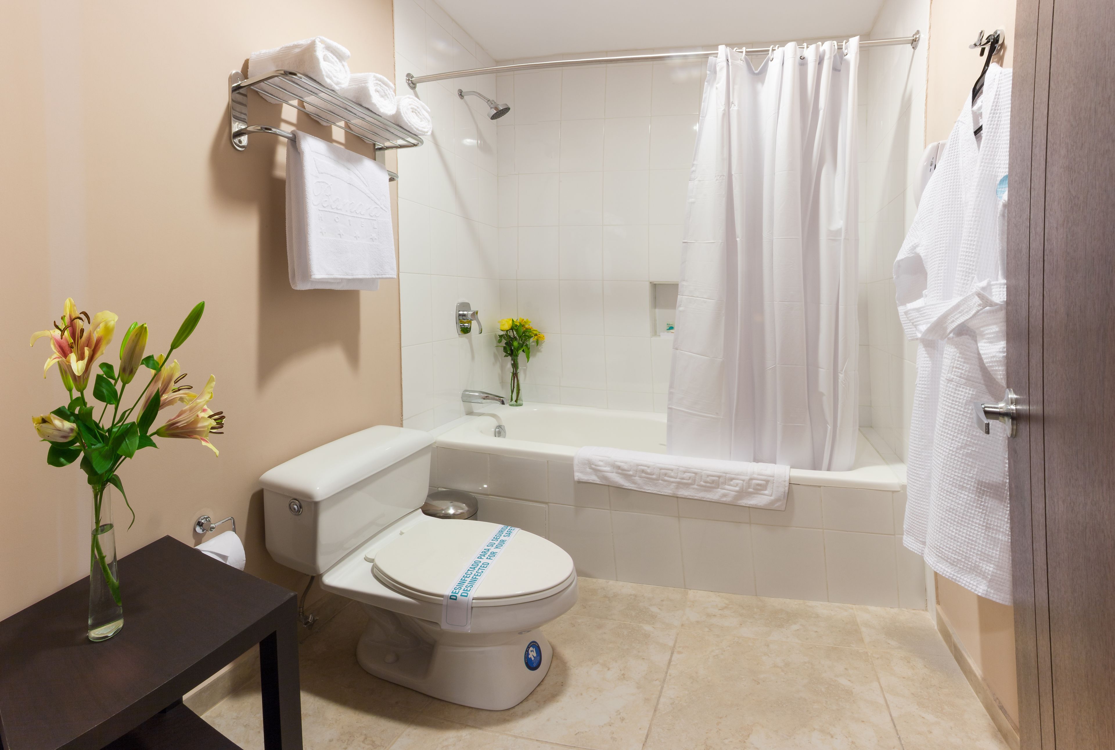 combined shower/bathtub, free toiletries, hair dryer, towels
