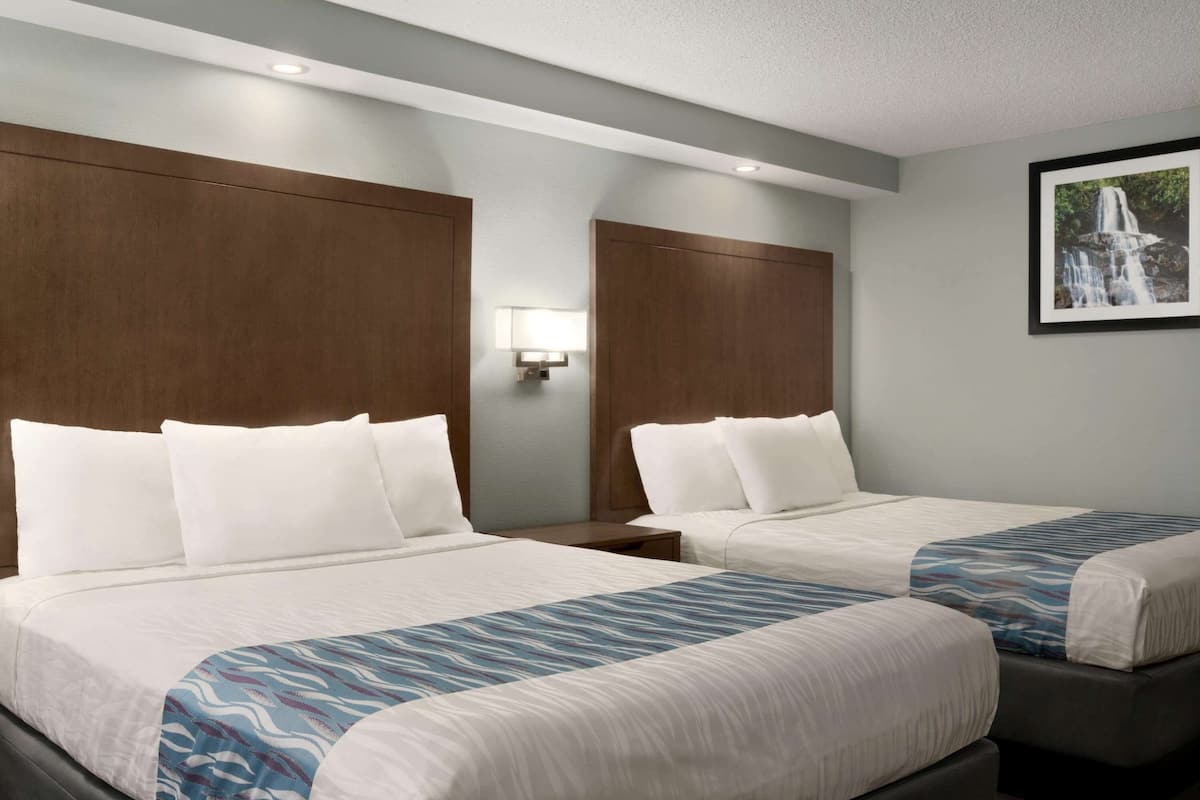 Une chambre d’hôtel avec deux lits, chacun agrémenté de draps blancs et d’un plaid bleu à motifs. Une lampe est fixée au mur entre les deux lits, et un tableau représentant une cascade est accroché au mur.