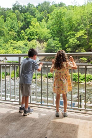 Desk, blackout curtains, iron/ironing board, free WiFi - Gatlinburg River Inn (Gatlinburg)