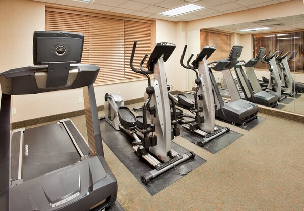 A gym with multiple treadmills and elliptical machines, arranged in rows with mirrors on the walls.