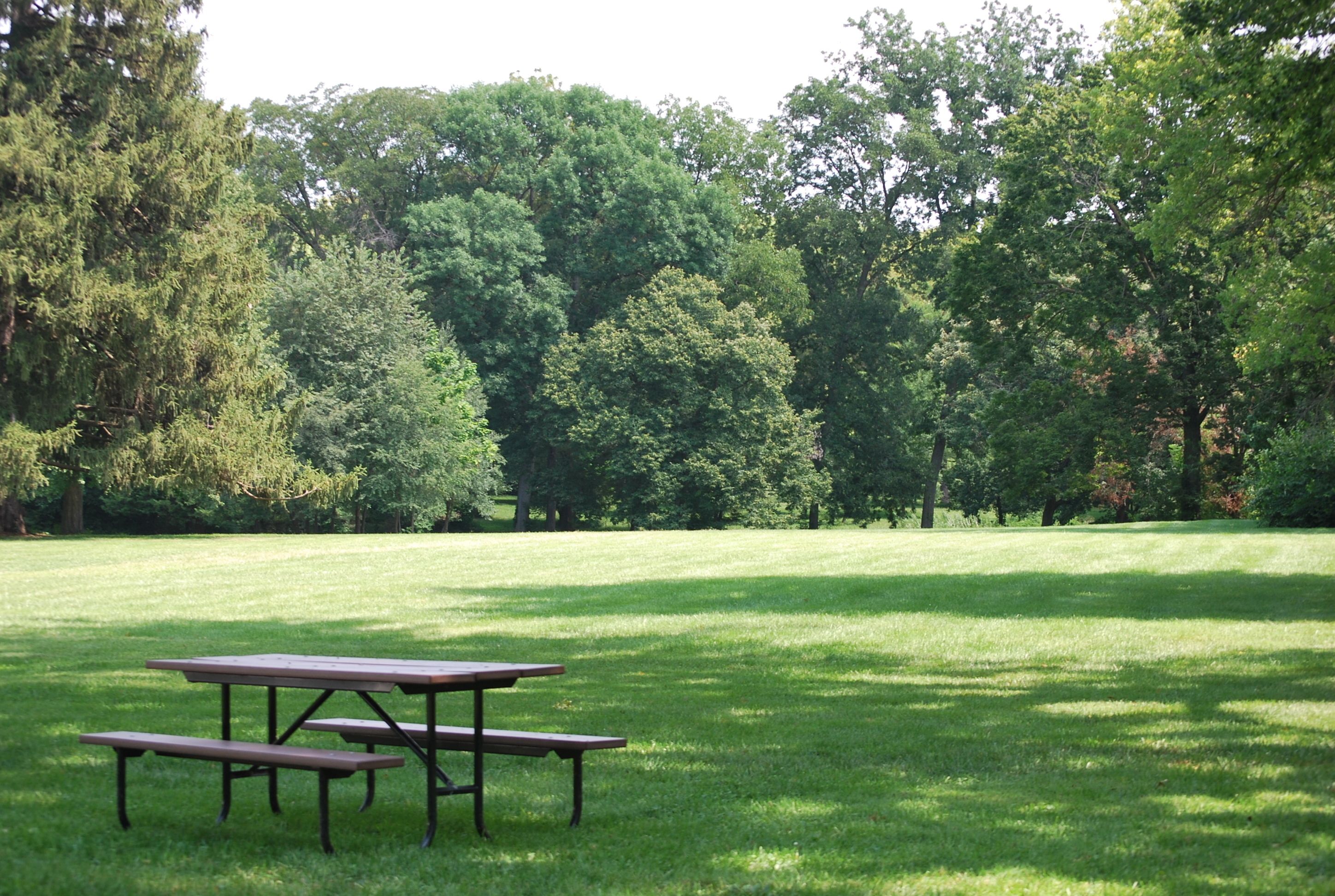 A picnic table in a grassy park area with trees in the background.
