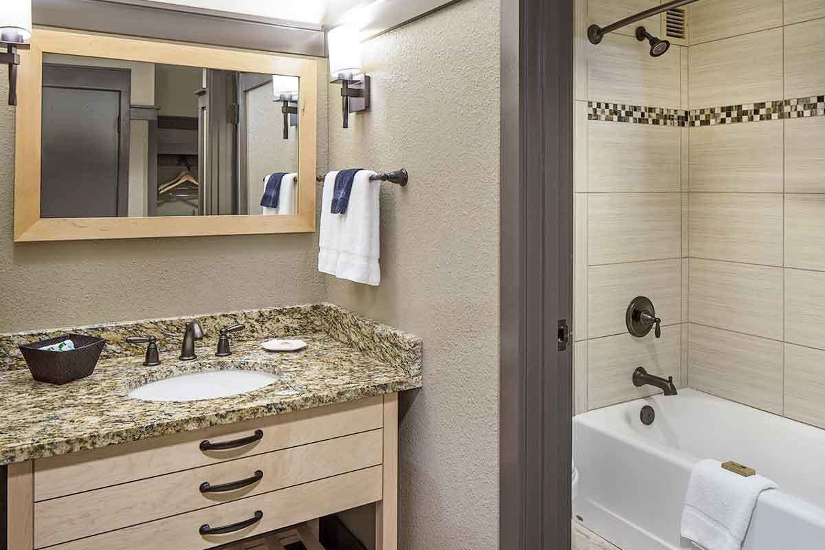 combined shower/bathtub, free toiletries, hair dryer, towels