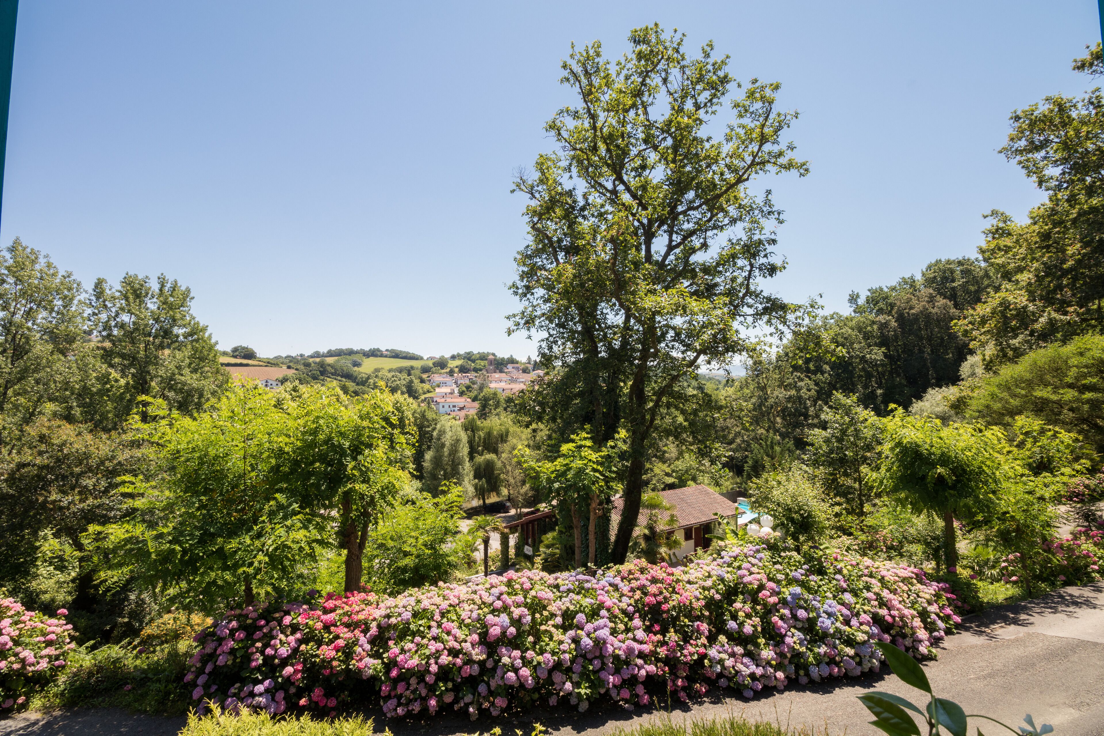Un jardín con flores florecientes y un árbol en el centro.